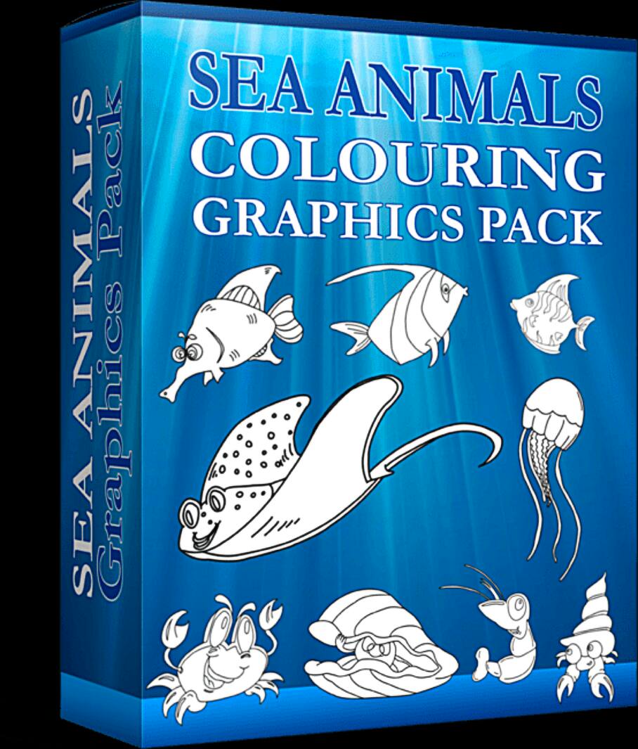 Sea Animals Box Medium bonus of Graphics creation workshop